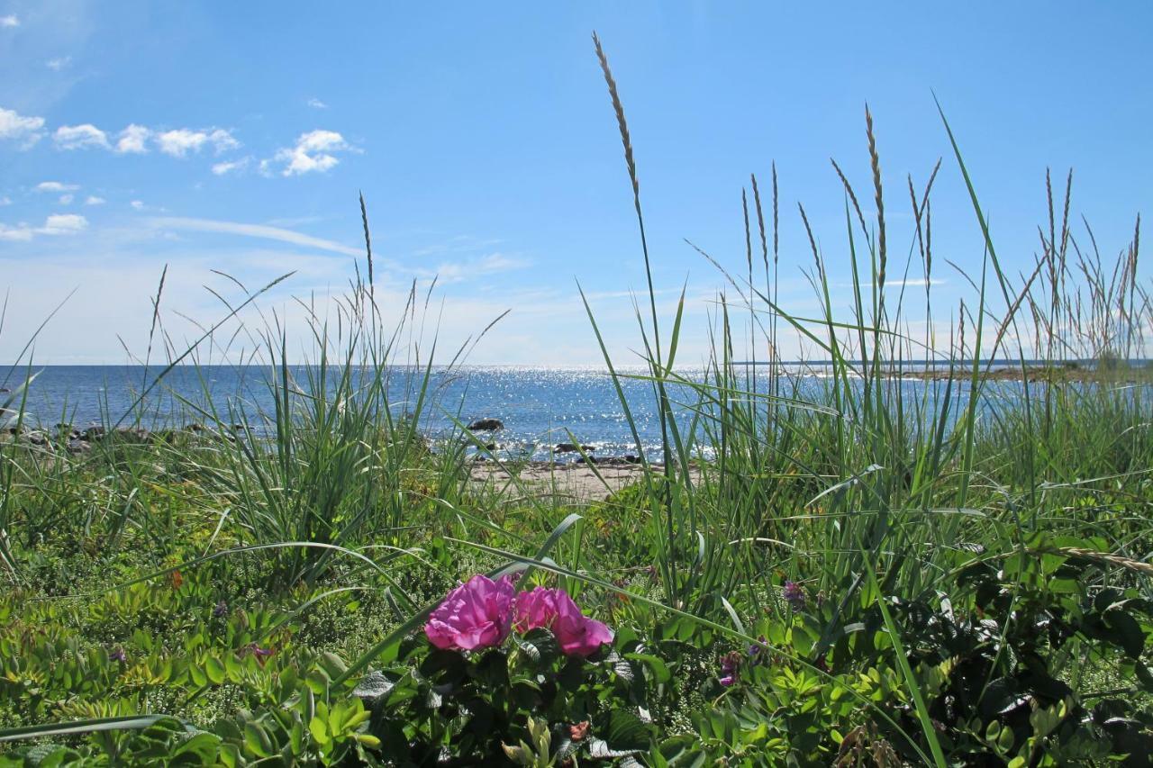 Hoelick Havsresort & Spa Hudiksvall Exteriér fotografie